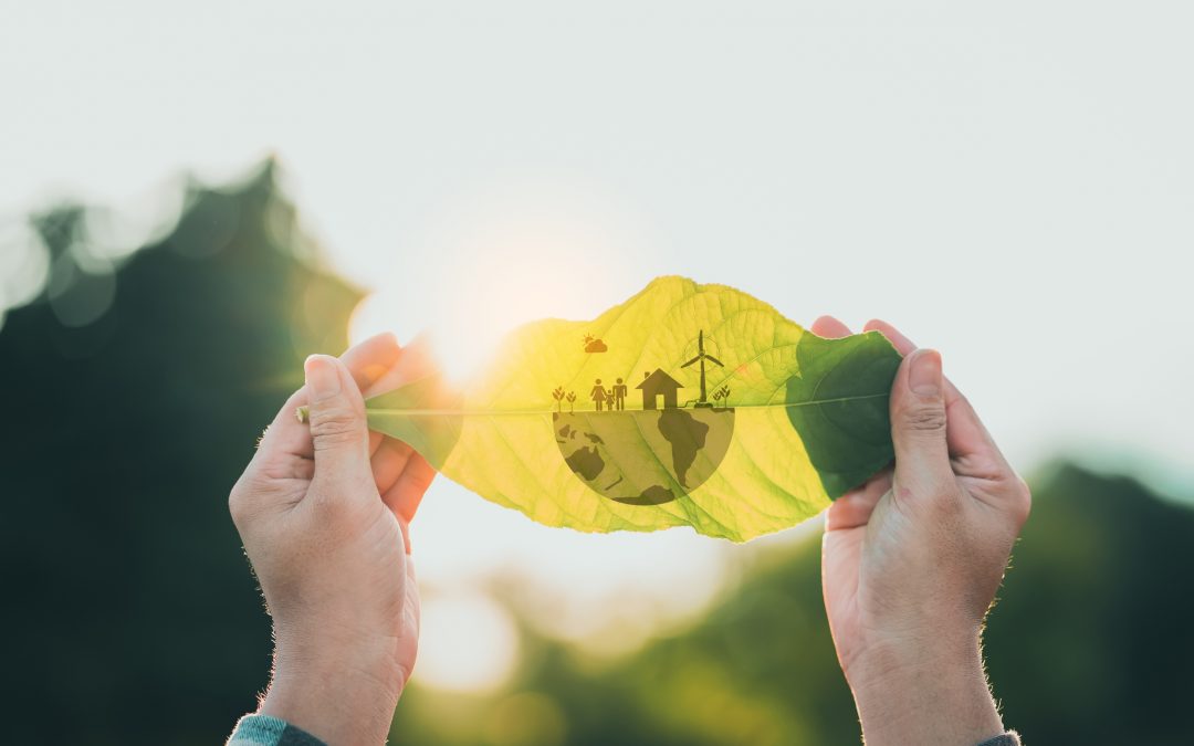 Fonds ESG : Intégrez vos valeurs dans vos décisions d&rsquo;investissement