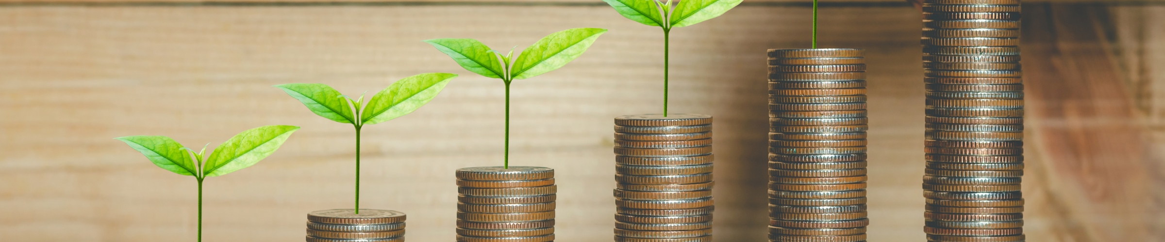 Fonds ESG - Intégrez vos valeurs dans vos décisions d'investissement 2