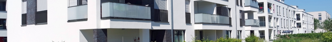Réglementations immobilières 2025 L’impact des diagnostics pour tous - COEOS Immobilier - COEOS Groupe 6