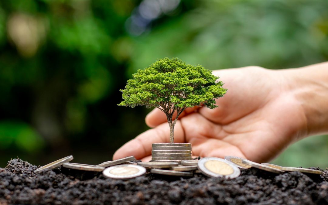 Investissement durable : Comment aligner convictions et rentabilité ?