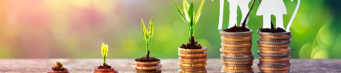 Optimisez la fiscalité de vos revenus 2025 - PER - Coéos Groupe